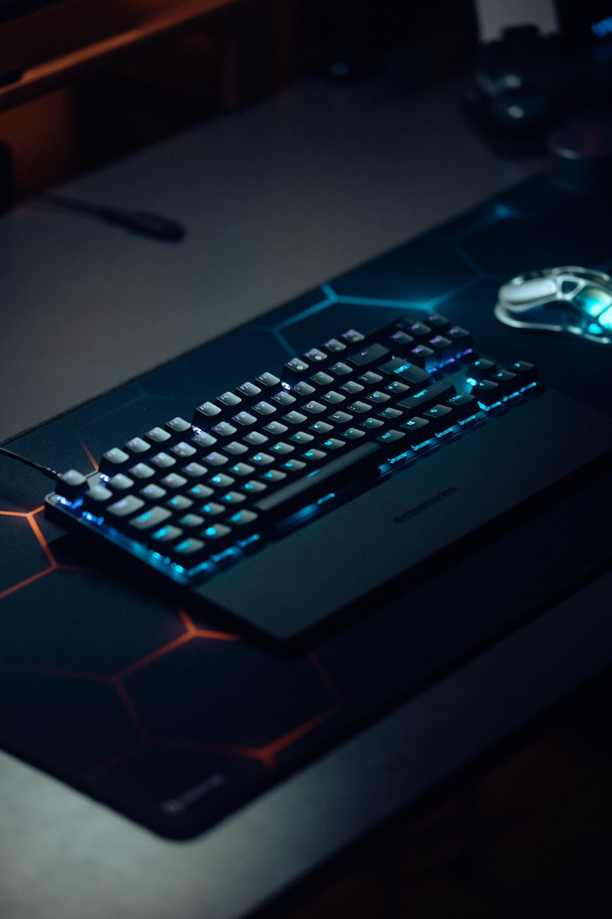 FPS gaming